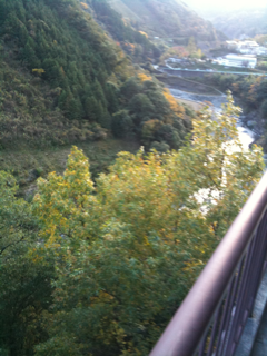 image-20101110224815.png